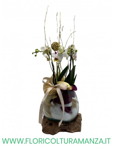 ORCHIDEA CON RADICE IN LEGNO