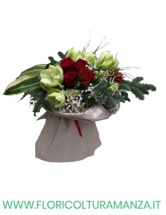amarilly e rose rosse