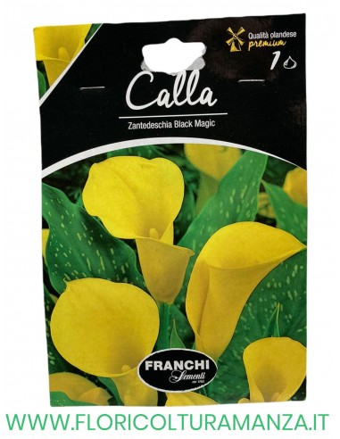 calla