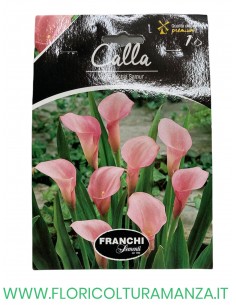 calla 2
