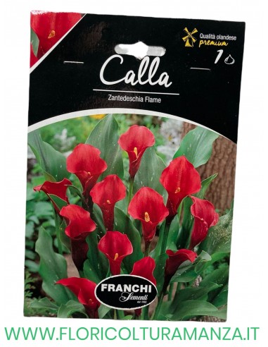 calla
