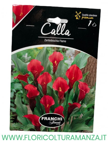 calla