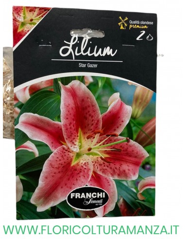 lilim          2 bulbi