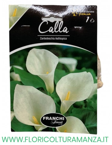 calla