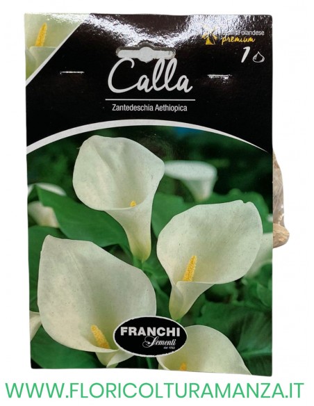 calla