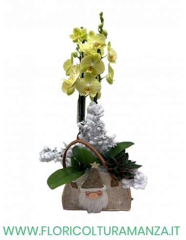 Borsa di panno natalizio con Phalenopsis