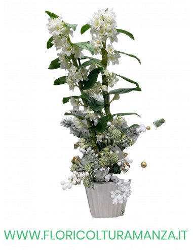 DENDROBIUM VASO CERAMICA CLASSICO