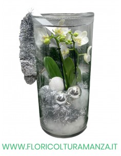 ORCHIDEA CON VASO IN VETRO