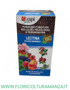 BIO LECITINA POLVERE BAGNABILE 100 GR