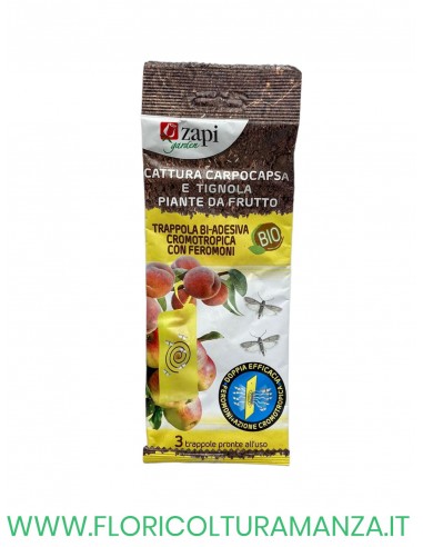 trappola bi adesiva carpocapsa e tignola piante da frutto