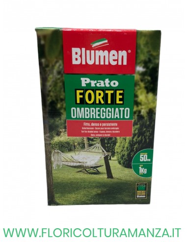 PRATO FORTE OMBREGGIATO 1 KG