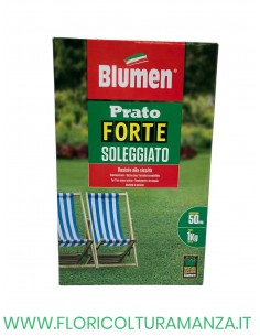 PRATO FORTE SOLEGGIATO 1 KG