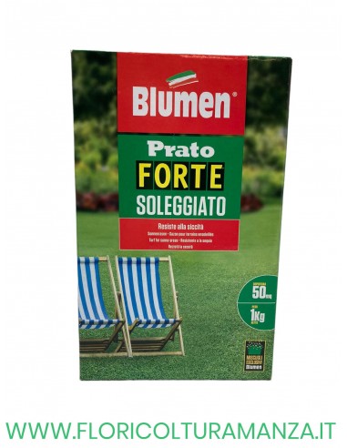PRATO FORTE SOLEGGIATO 1 KG