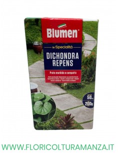 DICHONDRA REPENS GR 200