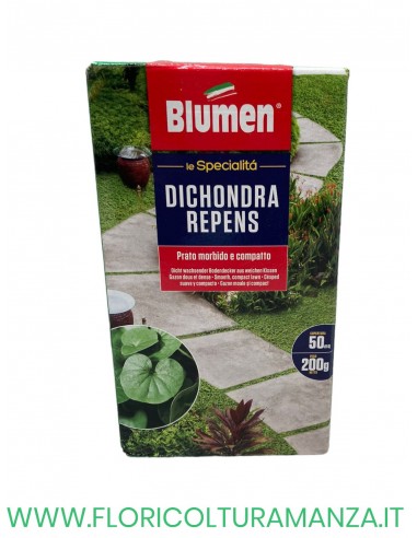 DICHONDRA REPENS GR 200