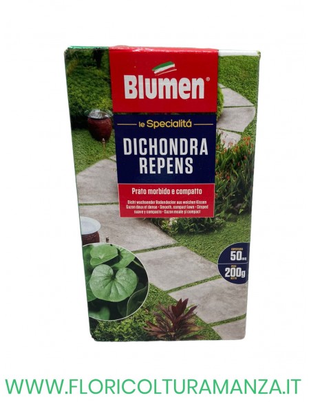 DICHONDRA REPENS GR 200