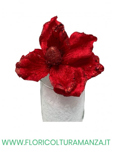 magnolia