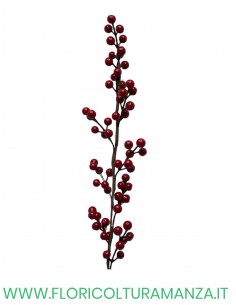 ramo bacche rosse