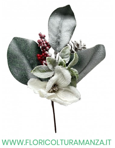 ramo magnolia con pigne e bacche