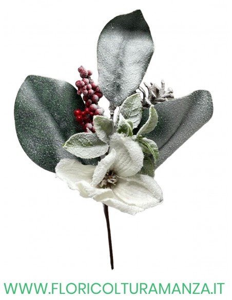 ramo magnolia con pigne e bacche