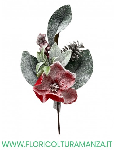 ramo magnolia con pigne e bacche