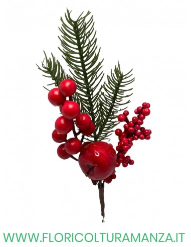 PIK BACCHE ROSSE CM 25