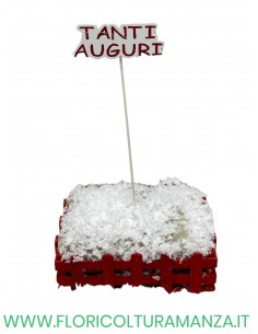 pik tanti auguri cm 14