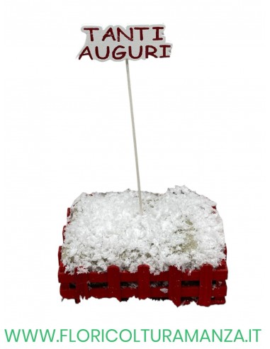 pik tanti auguri cm 14