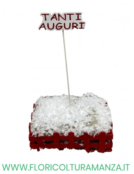 pik tanti auguri cm 14