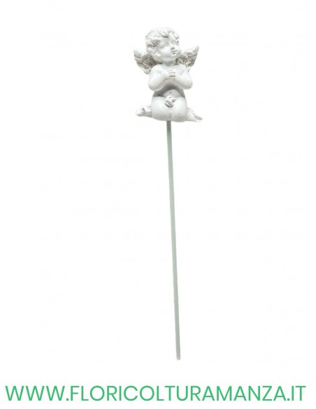 ANGELO GESSO CM 9