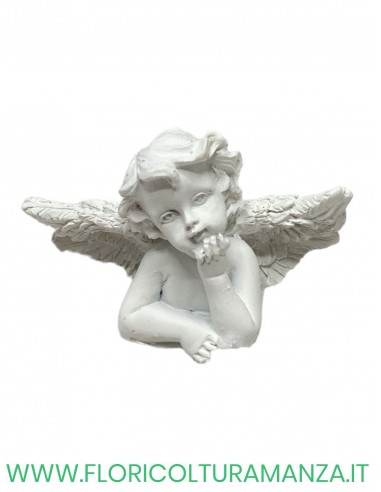 ANGELO GESSO  CM 9