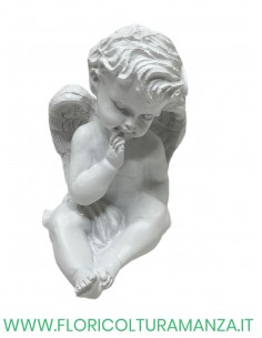 ANGELO GESSO CM 13