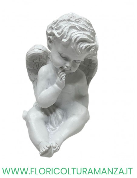 ANGELO GESSO CM 13