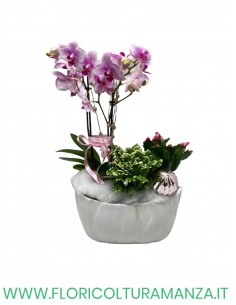 ORCHIDEA CON VASO IN CERAMICA