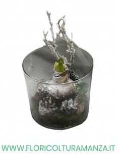 VASO VETRO AMARYLLO A2