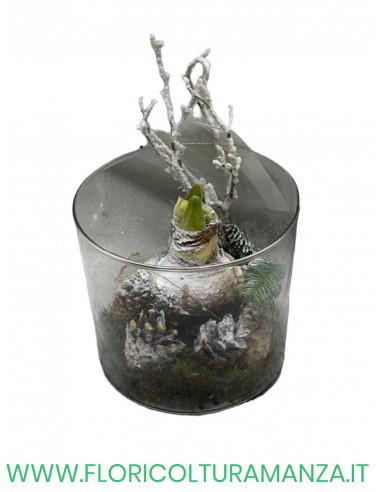 VASO VETRO AMARYLLO A2