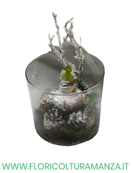 VASO VETRO AMARYLLO A2