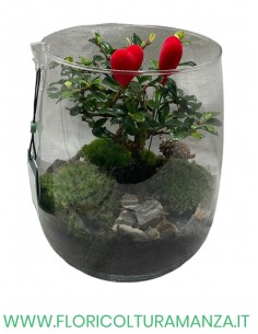 BONSAI IN VETRO