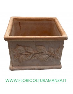 CUBO LIMONI CM 23