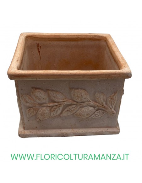 CUBO LIMONI CM 23