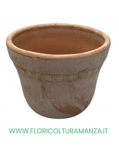VASO AGE CM 20