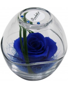 Rosa Grande Stabilizzata ROSABELLA IN SFERA DI VETRO