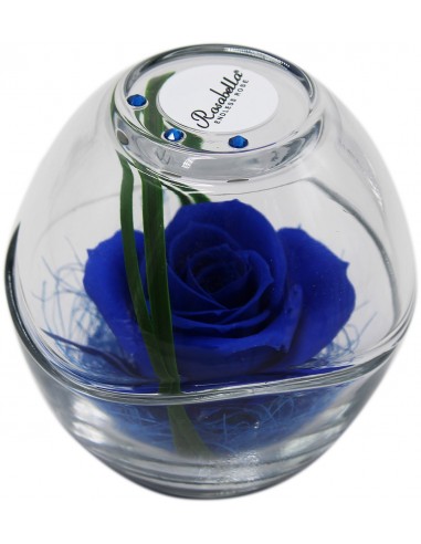 Rosa Grande Stabilizzata ROSABELLA IN SFERA DI VETRO