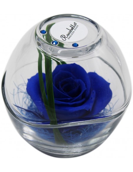 Rosa Grande Stabilizzata ROSABELLA IN SFERA DI VETRO