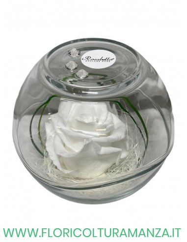 Rosa Grande Stabilizzata ROSABELLA IN SFERA DI VETRO