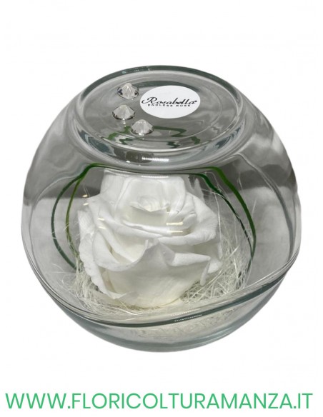 Rosa Grande Stabilizzata ROSABELLA IN SFERA DI VETRO
