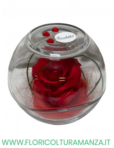 Rosa Grande Stabilizzata ROSABELLA IN SFERA DI VETRO