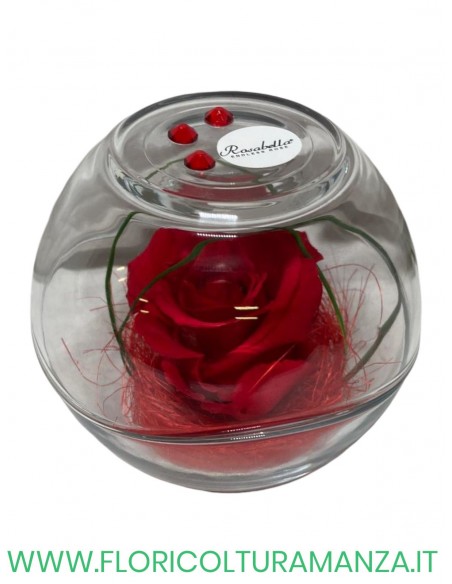 Rosa Grande Stabilizzata ROSABELLA IN SFERA DI VETRO