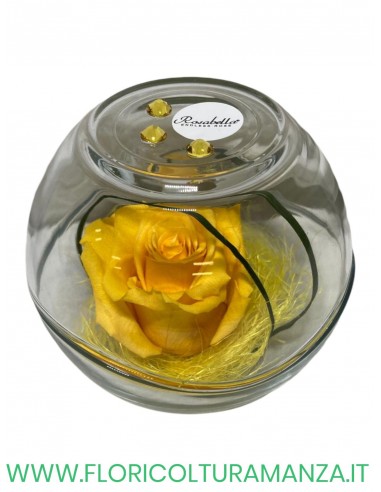 Rosa Grande Stabilizzata ROSABELLA IN SFERA DI VETRO