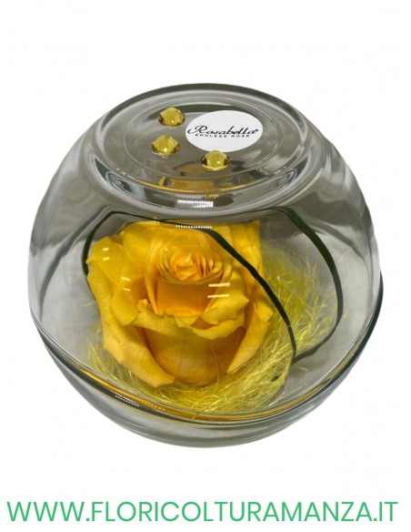 Rosa Grande Stabilizzata ROSABELLA IN SFERA DI VETRO